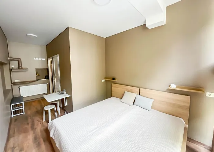 K3a ヴィリニュス